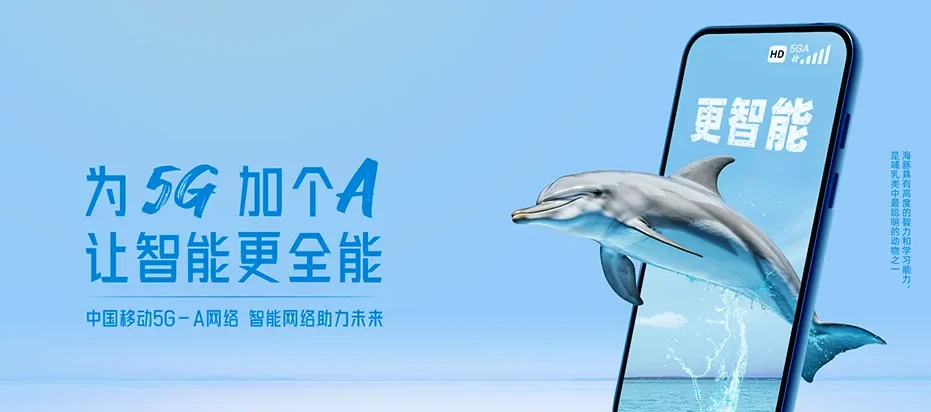 锦屏锦屏县彦洞乡 移动宽带